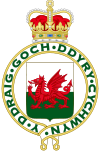 Royal Badge of Wales (1953).svg