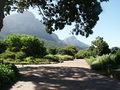 2006 02 Kirstenbosch 12.JPG