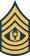 Command Sergeant Major