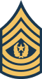 E-9 COMM insignia