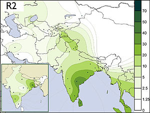 R2, Y-DNA haplogroup.jpg