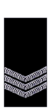 Wa-police-sergeant.png