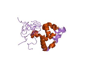 PDB 1ig6 EBI.jpg