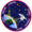 Sts-99-patch.png