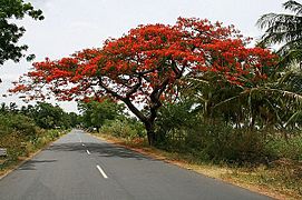 Bargur Road.jpg