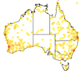 Redback spider records map.png