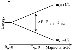 Splitting of electron spin states