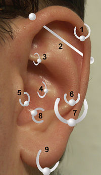 Types of earring: 1) Helix/Cartilage, 2) Industrial, 3) Rook, 4) Daith, 5) Tragus, 6) Snug, 7) Conch, 8) Anti-Tragus, 9) Lobe