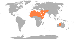 Dromedary Range.png