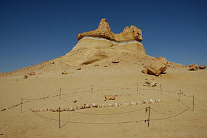 Whale skeleton in Wadi Al-Hitan