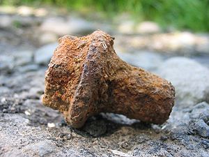 A rusty piece of a bolt.