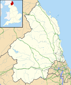 Juniper is located in Northumberland