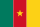 Flag of Cameroon