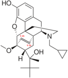 Chemical structure of 18,19-Dehydrobuprenorphine.