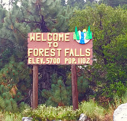 Forest-Falls-Sign.jpg