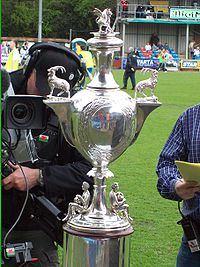 Welsh cup.jpg