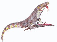 Chasmatosuchus1DB.jpg