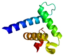 Protein EP300 PDB 1f81.png