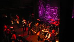 FloggingMolly022310.jpg