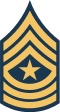 E-9 insignia