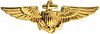 Naval Aviator Badge.jpg