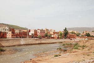 A river runs across the image from left to right with a town in the background, behind a concrete flood defence.  The foreground shows a stony, sparsely vegetated river bank.