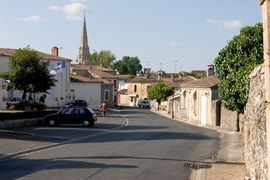 Sauternes 01.jpg