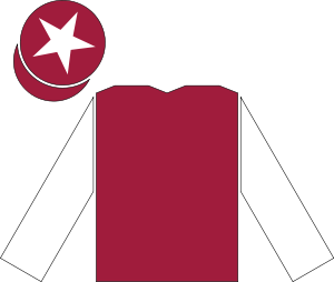 Racing silks of Sheikh Mohammed.svg