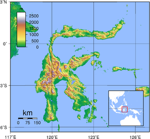 Sulawesi Topography.png