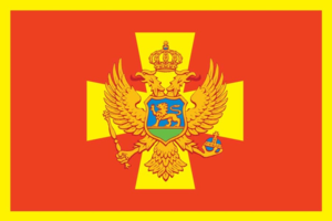 Flag of montenegrins in serbia.png