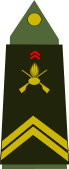 insignia with two chevrons