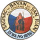 Official seal of San Juan