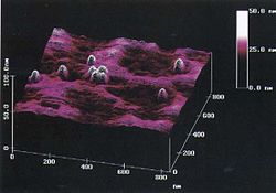 Band 3 Atomic microscope.jpg