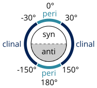 syn/anti peri/clinal