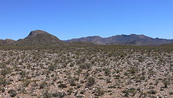 Typical Karoo vegetation to the south of Matjiesfontein, with the Anysberg Mountains visible in the background