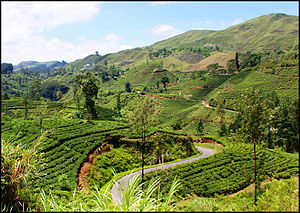 Scenery seen from hill-country Badulla-Colombo railway line