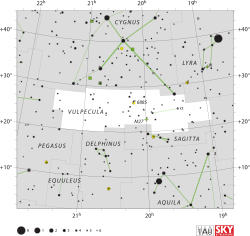 Vulpecula