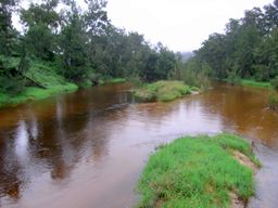 Tuross River from bridge.JPG