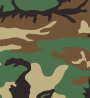 US Woodland pattern.svg