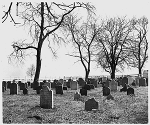 Cemetery filled many small plain headstones with simple inscriptions, and two large bare trees.