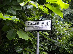 Zuccarini Weg.jpg