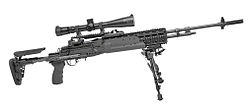 PEO M14 EBR.jpg