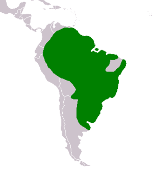 Hydrochoerus hydrochaeris range.png