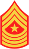 E-9 sgtmaj insignia