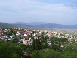 A view of Davleia