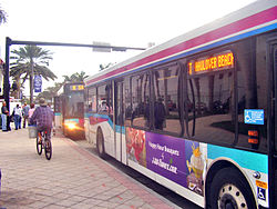 MiamiMetroBus.jpg