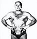 Verne Gagne 1964.jpg