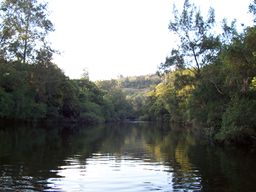 Barrington River 1.jpg