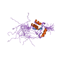 PDB 2coe EBI.png