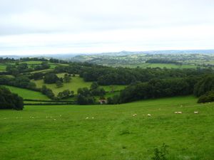 Mendip valley from Stoke Woods.jpg